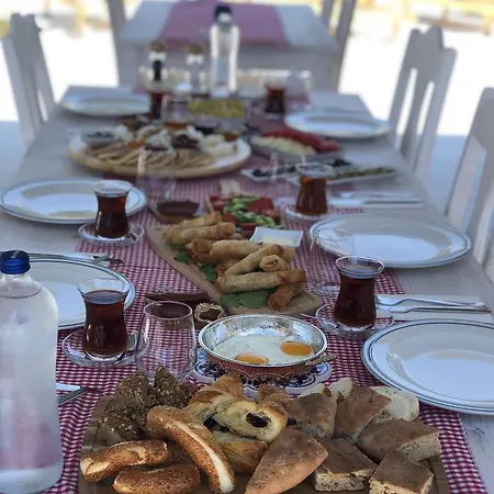 Z Exclusive And Hotel 3*