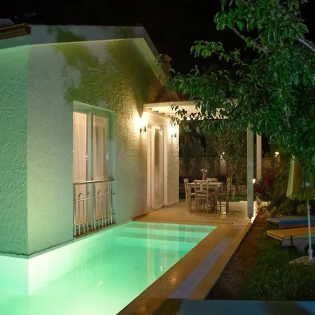 Z Exclusive And أولدينيس