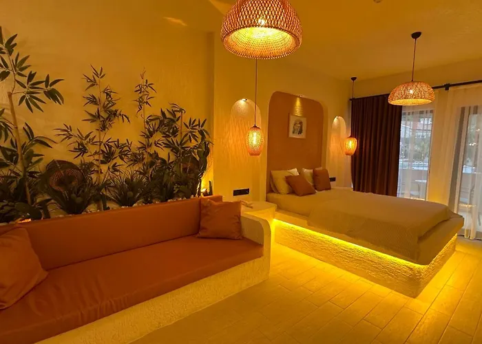 Z Exclusive And Hotel